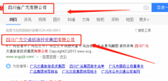四川广元交通旅游投资集团有限公司与本司签约网站推广项目