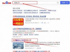 无棣*岳化工集团有限公司网站建设平面设计案例作品